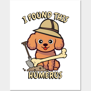 I found this humerus - brown dog Posters and Art